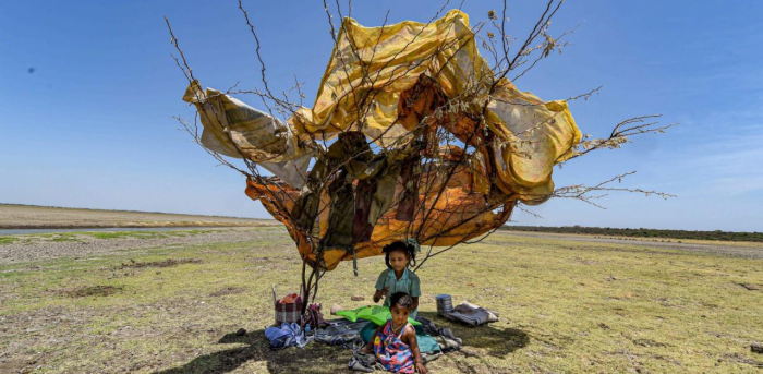 Representative Image. Credit: PTI Photo